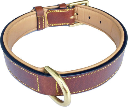 Brown XL Leather Padded Dog Collar, 28" Inches Long x 1.75" Inches Wide, Neck Size 22" to 25", Full Grain Real Luxury Leather for XLarge Dogs