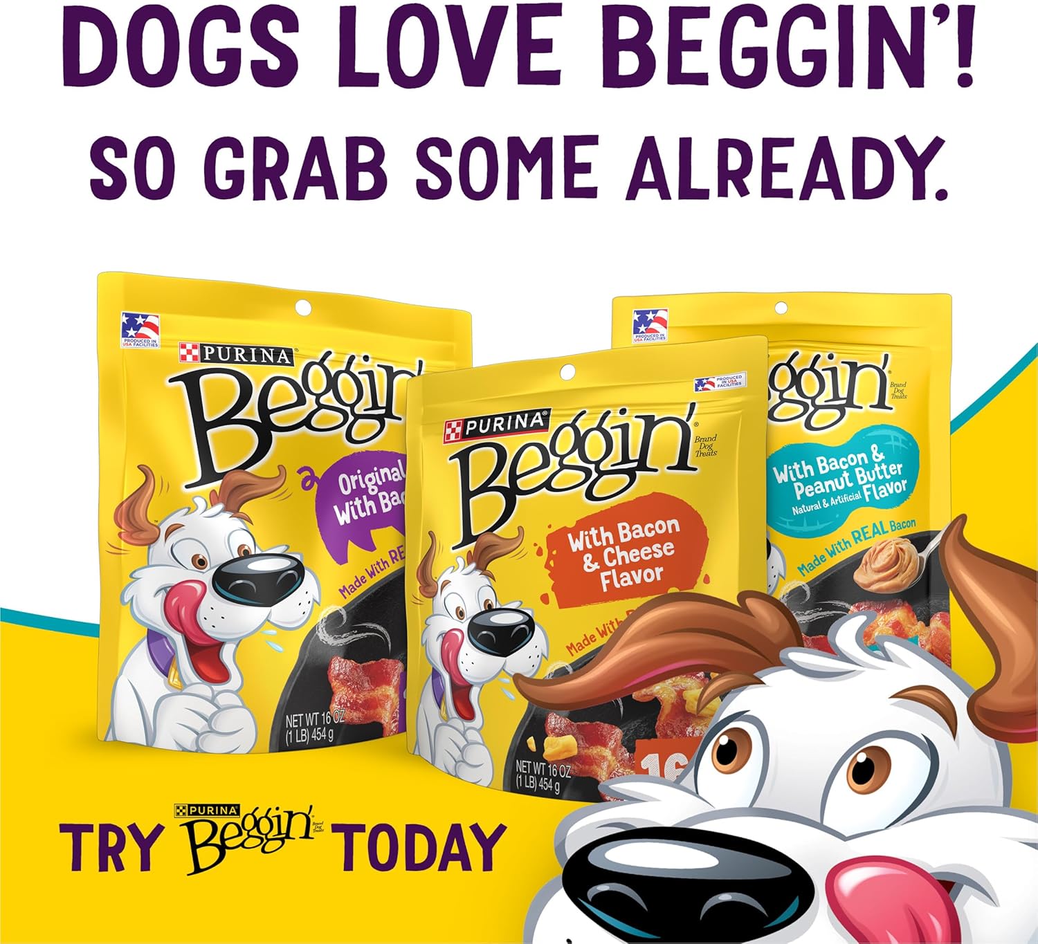 Flavor Stix with Bacon and Peanut Butter Flavor Dog Chew Stix - 40 Oz. Pouch