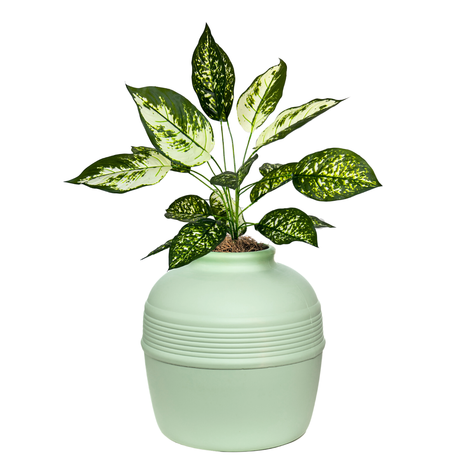 Original Hidden Litter Box Planter, Hooded Litter Box, Fake Plant Good Pet Stuff