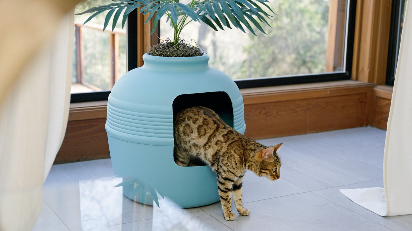 Original Hidden Litter Box Planter, Hooded Litter Box, Fake Plant Good Pet Stuff