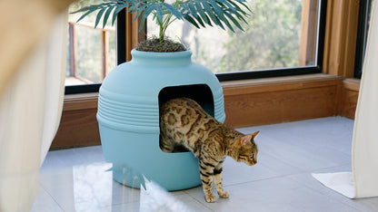 Original Hidden Litter Box Planter, Hooded Litter Box, Fake Plant Good Pet Stuff