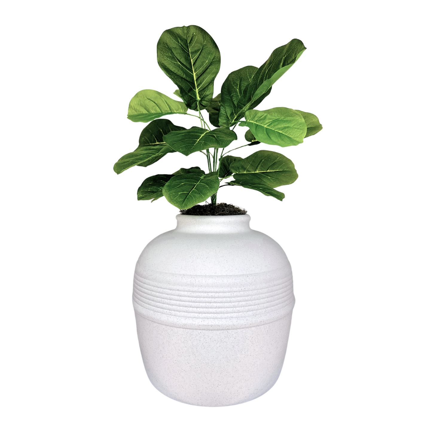 Original Hidden Litter Box Planter, Hooded Litter Box, Fake Plant Good Pet Stuff