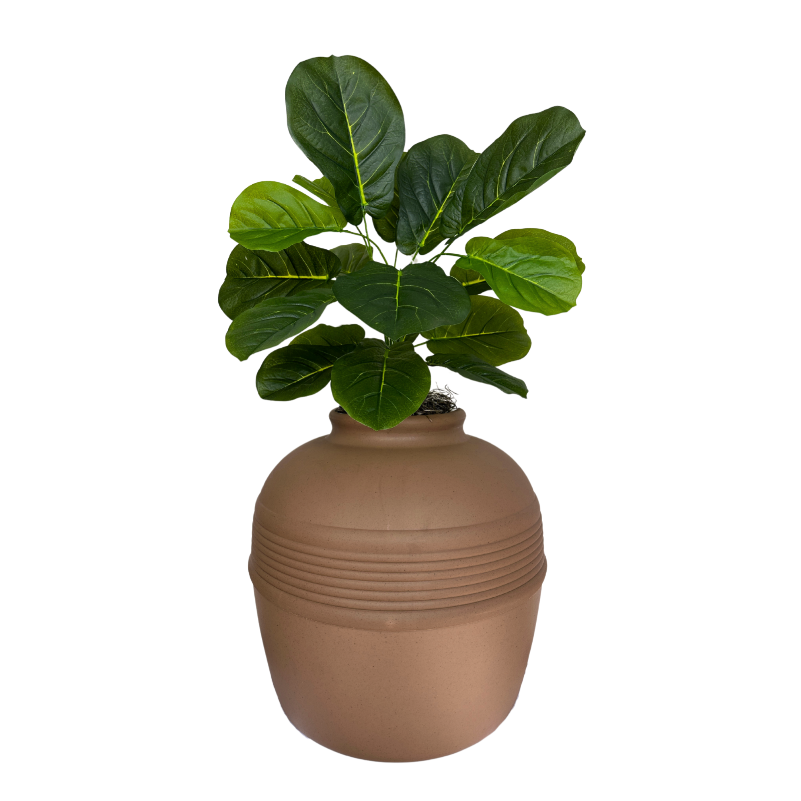 Original Hidden Litter Box Planter, Hooded Litter Box, Fake Plant Good Pet Stuff